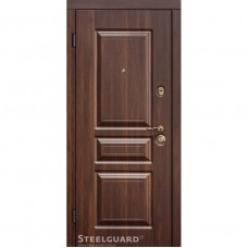 Дверь входная бронированная Steelguard Серия MAXIMA Temoscreen
