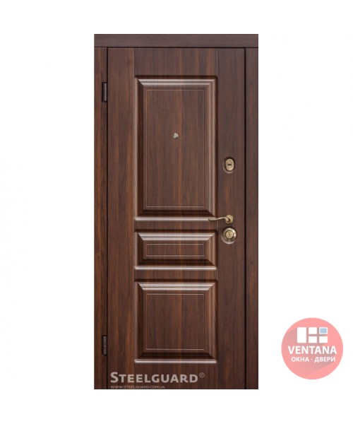 Дверь входная бронированная Steelguard Серия MAXIMA Temoscreen