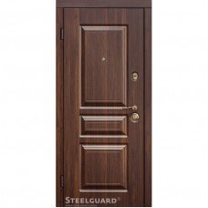 Дверь входная бронированная Steelguard Серия MAXIMA Temoscreen