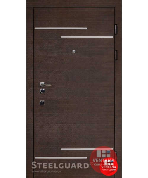 Дверь входная бронированная Steelguard Серия SOLID Rizor