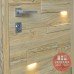 Дверь входная бронированная Страж Expo light